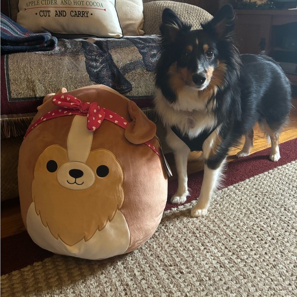 Posh Show!! Like this post to get notified when I go live! - Picture 9 of 11